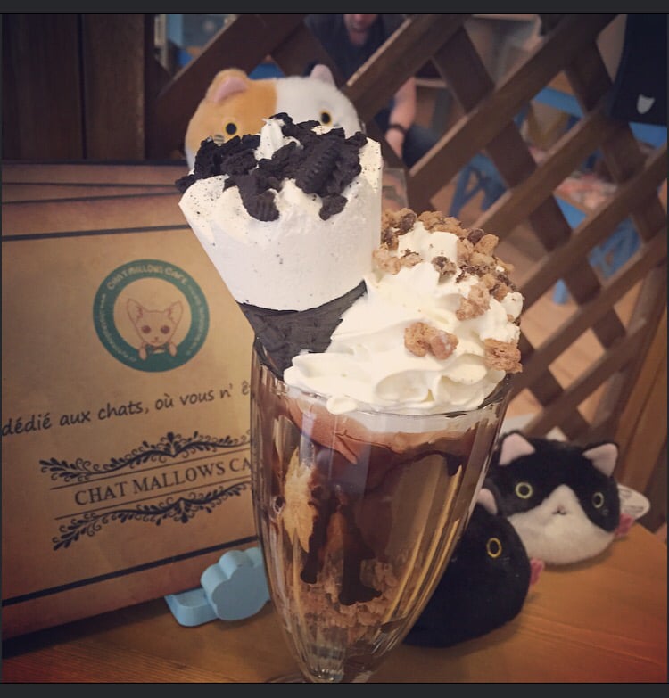 Chat Mallows Café 10€/pers Age 6+ only 4