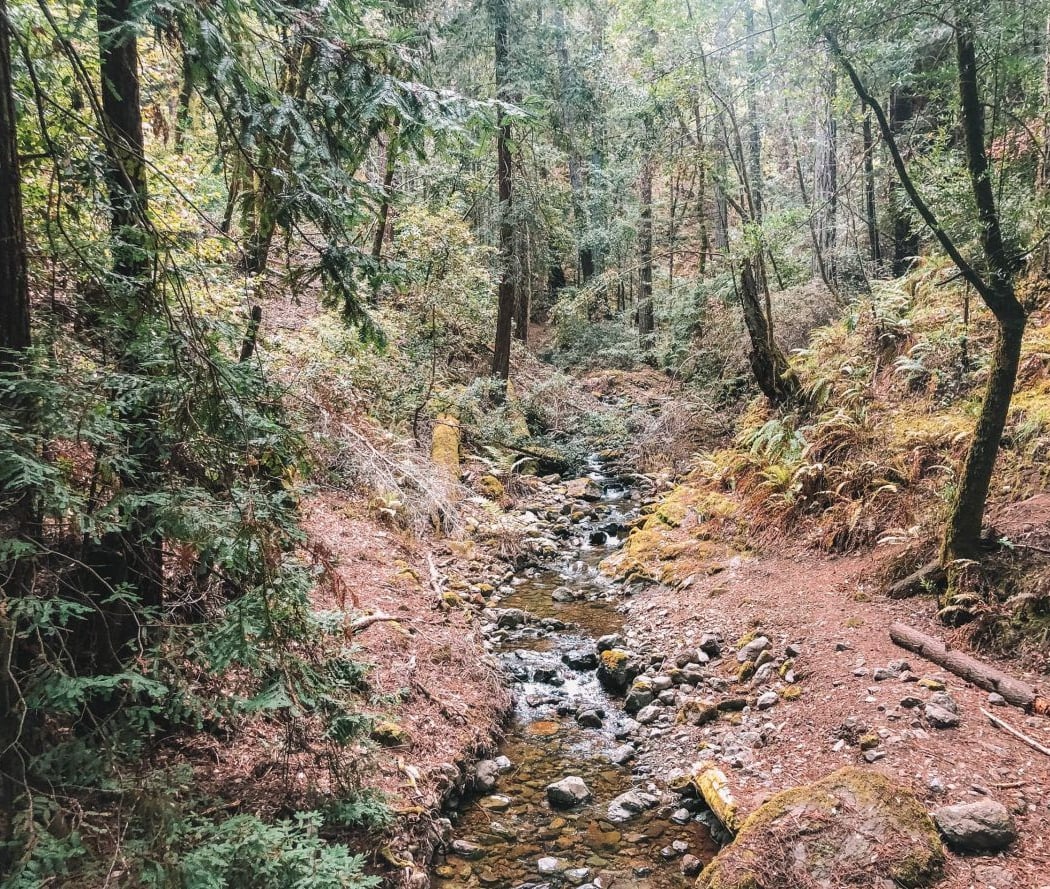 Cataract Falls 2