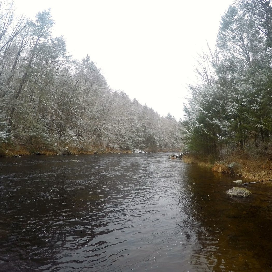 Housatonic Valley Association Inc 3