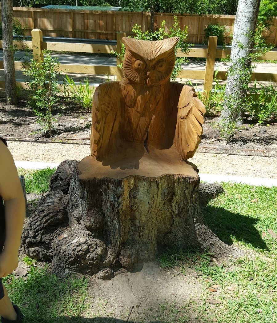 nature storytime