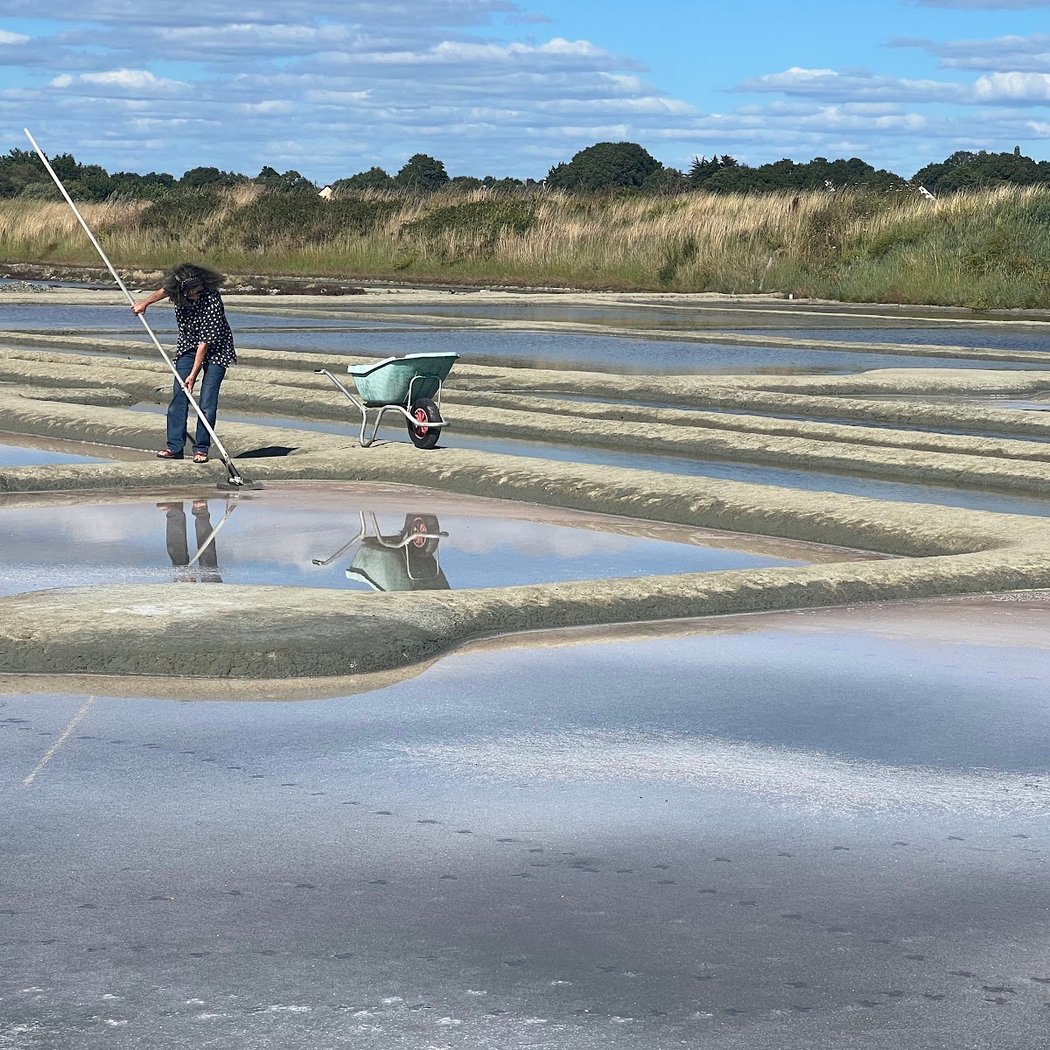Marais Salants du Mès 1