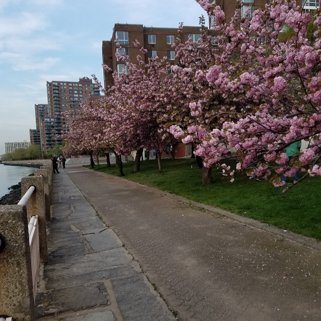 Roosevelt Island Operating Corporation 3