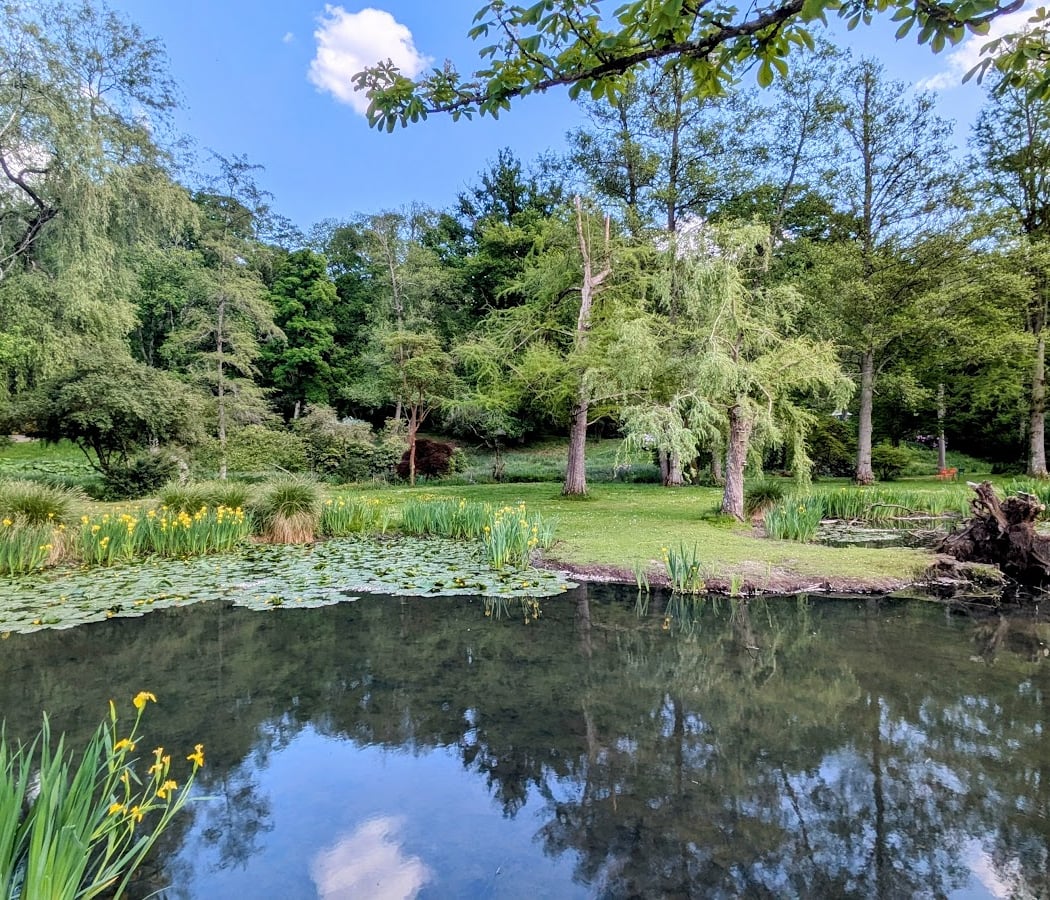 Anglais Garden 1