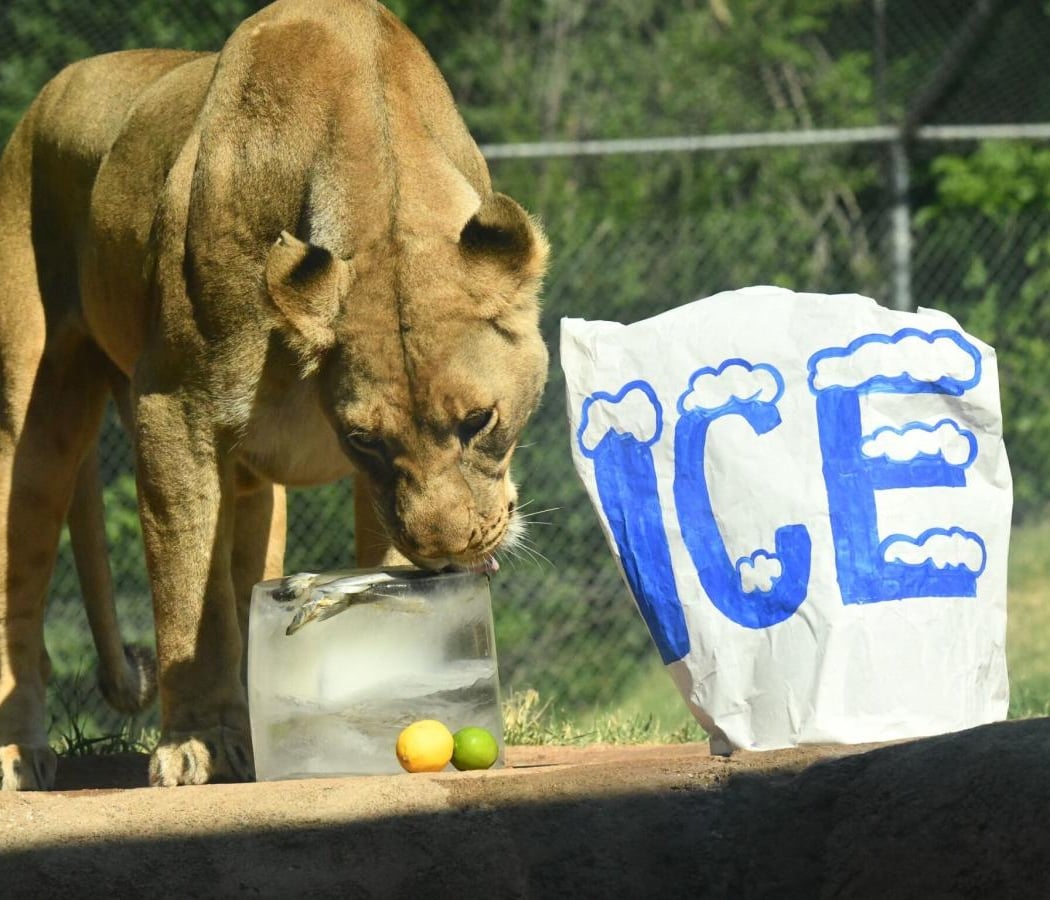 Oklahoma City Zoo 2