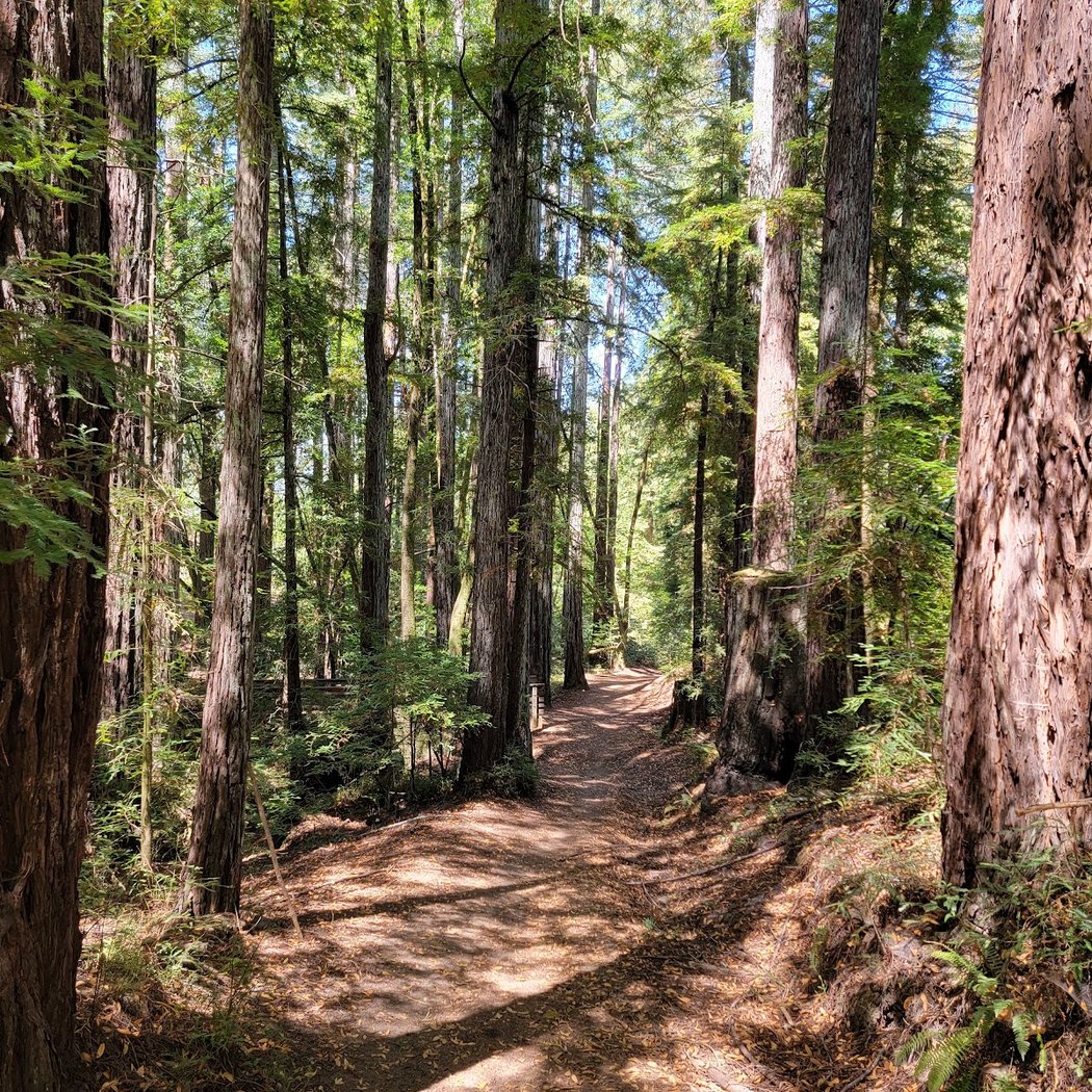Gary Giacomini Open Space Preserve 1