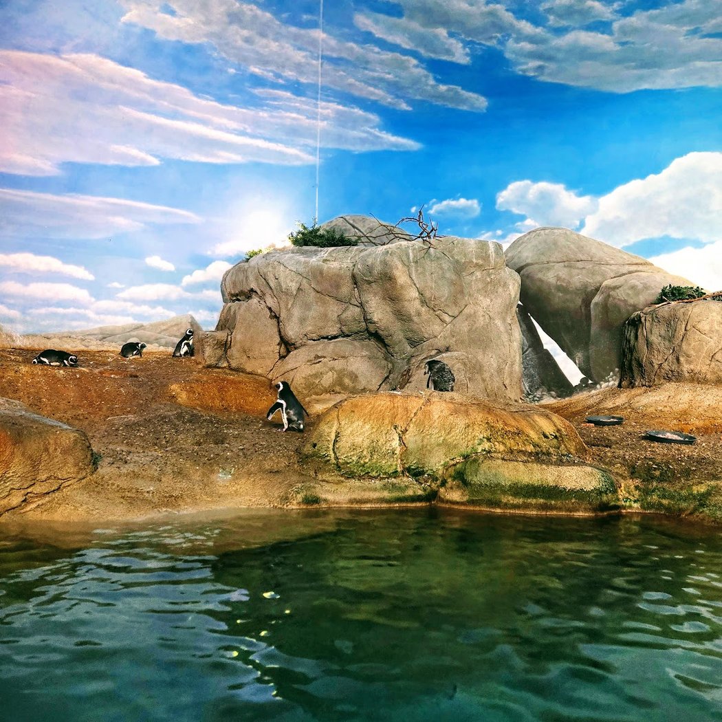 John Ball Zoo 1