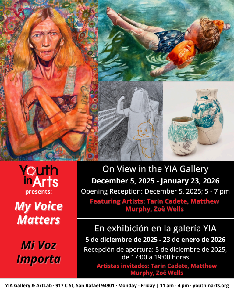 My Voice Matters Youth in Arts Exhibition 1