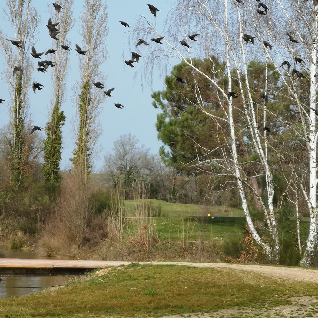 GOLF DES CHARMILLES 2