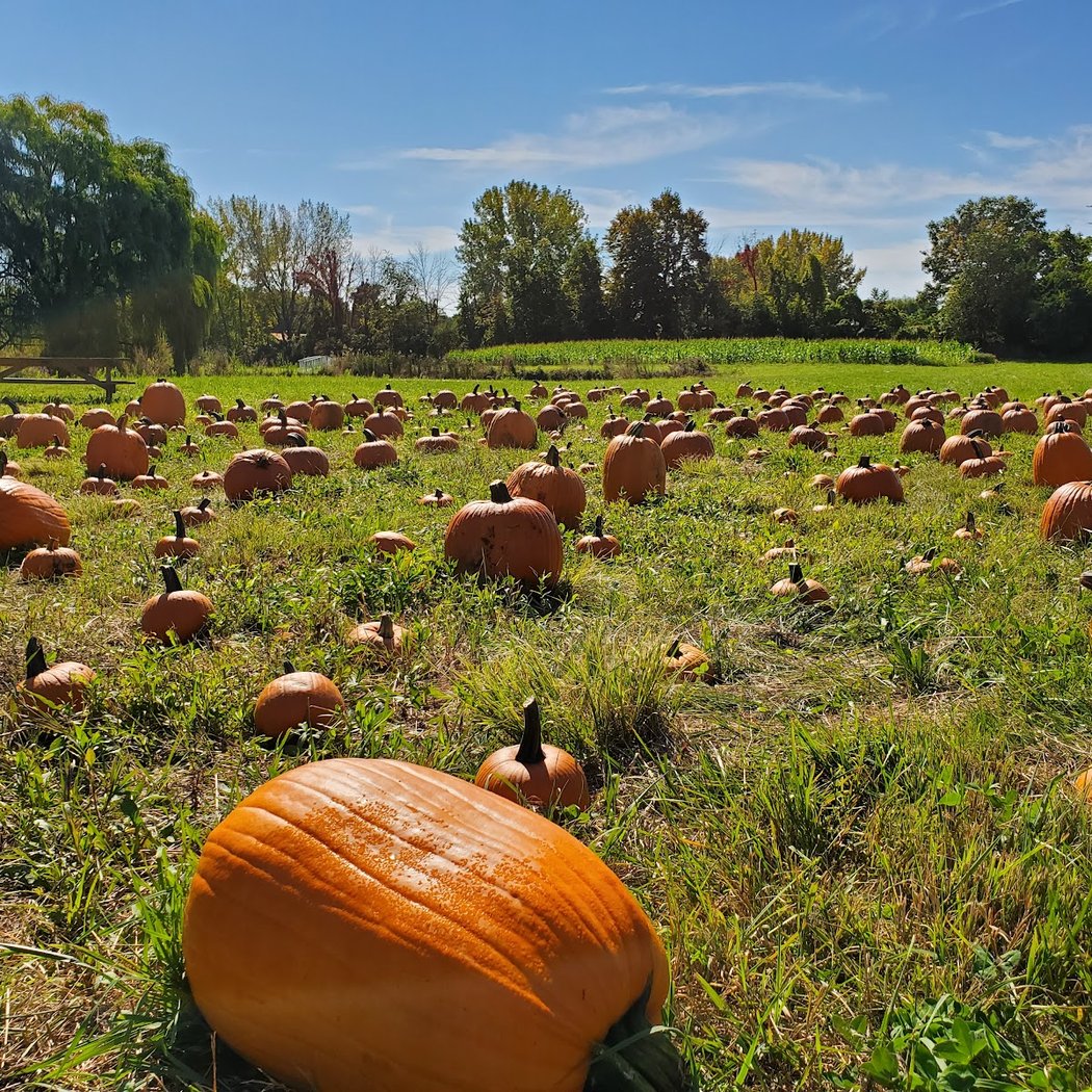 Prospect Hill Orchards-Homestead Farm 2