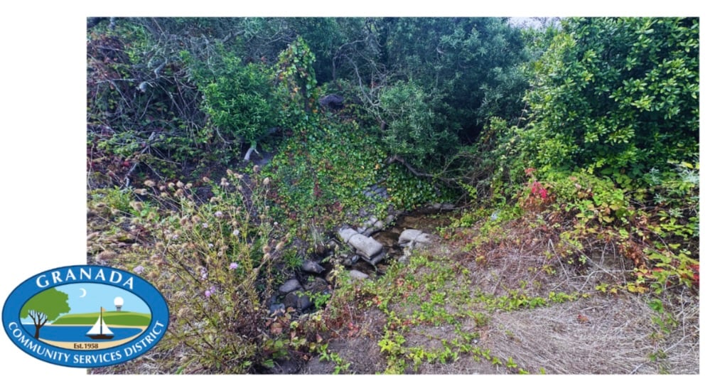 El Granada's Deer Creek Walk with RCD Water Quality Expert 2