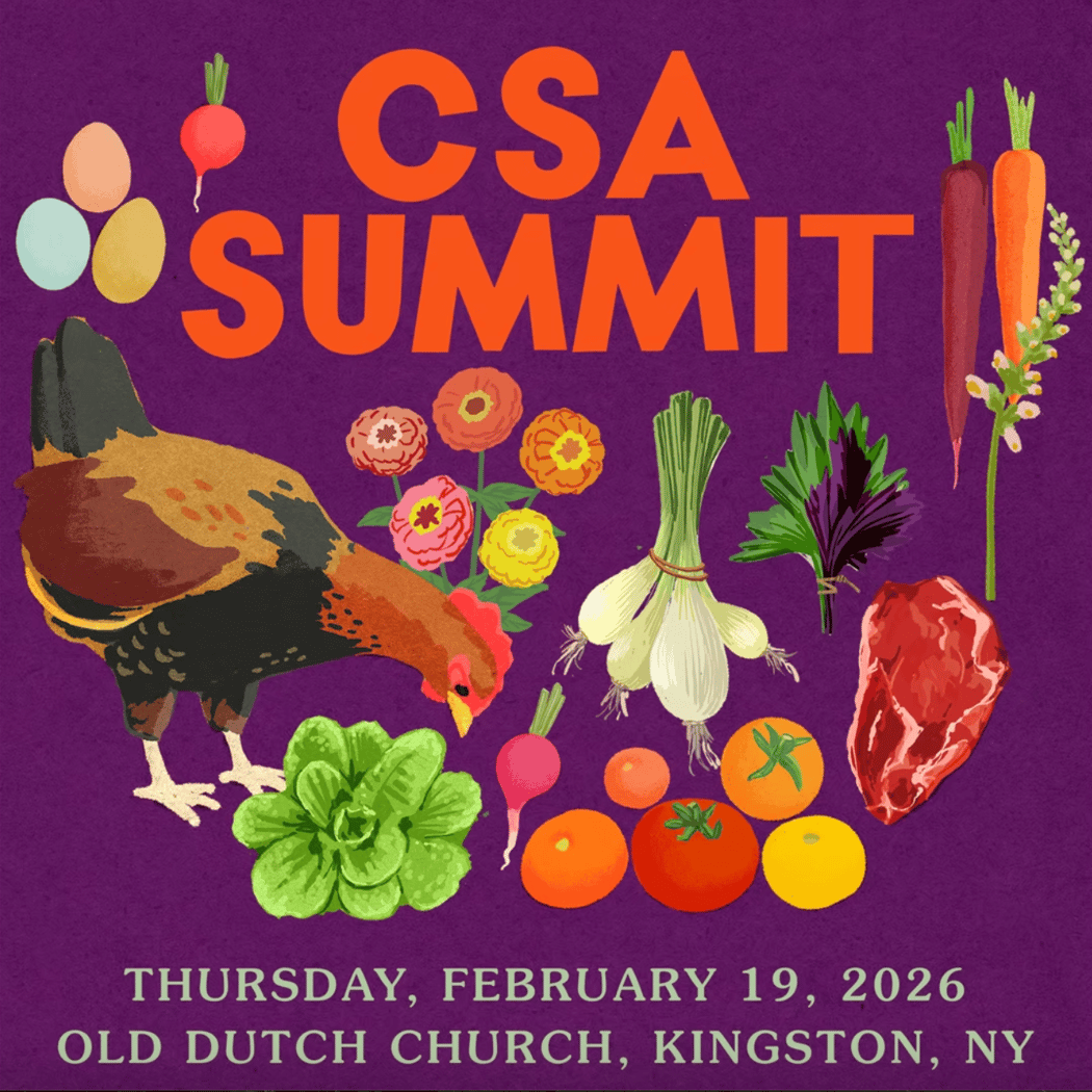 CSA Summit 1