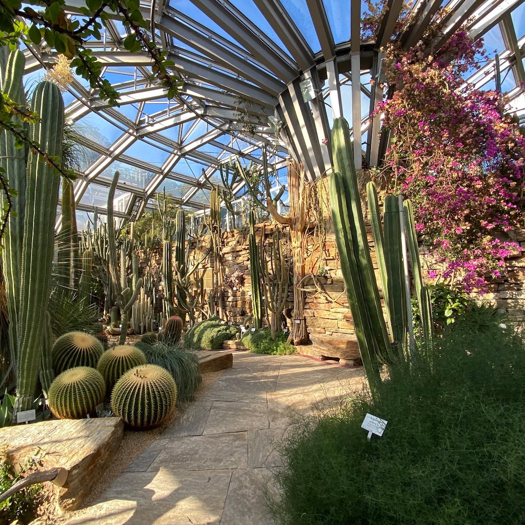Botanical Garden and Botanical Museum 2