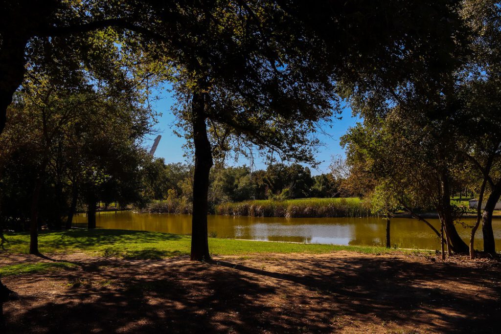 Parque del Alamillo 1