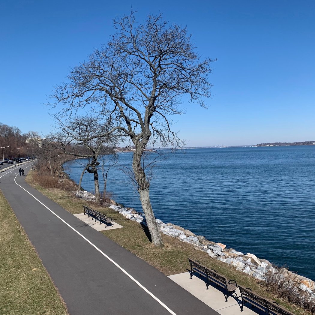 Saturdays OpenRun NYC 1