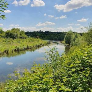 Parc départemental de la Haute-Ile 1