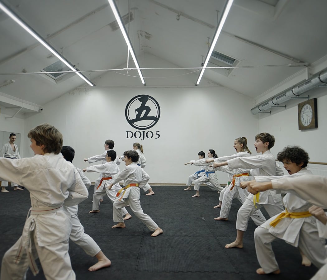 DOJO 5 3