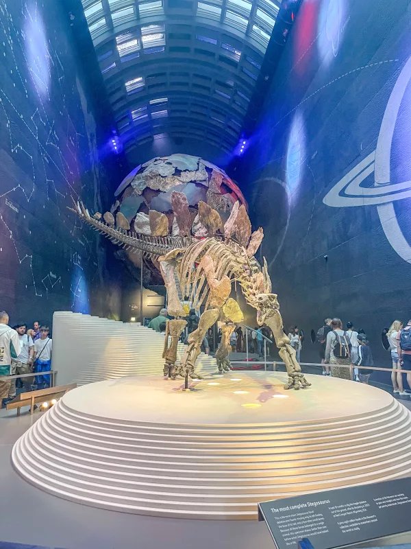 Natural History Museum 3