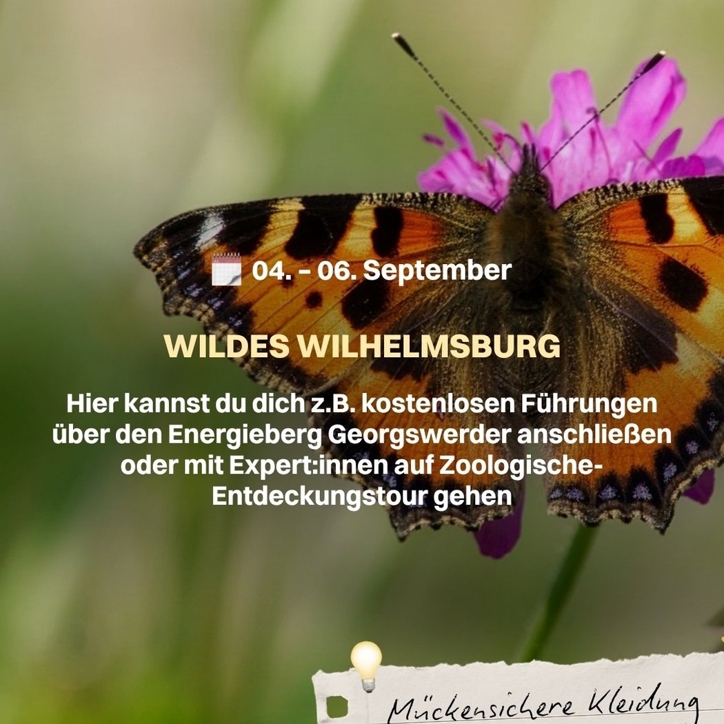 Wildes Wilhelmsburg 1
