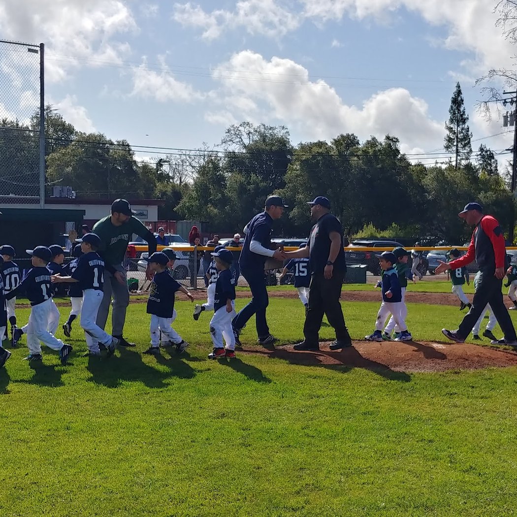 Sonoma Valley Little League 2