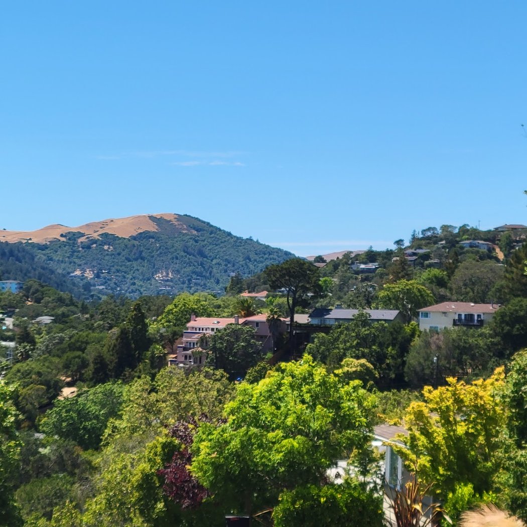 Greenbrae 4
