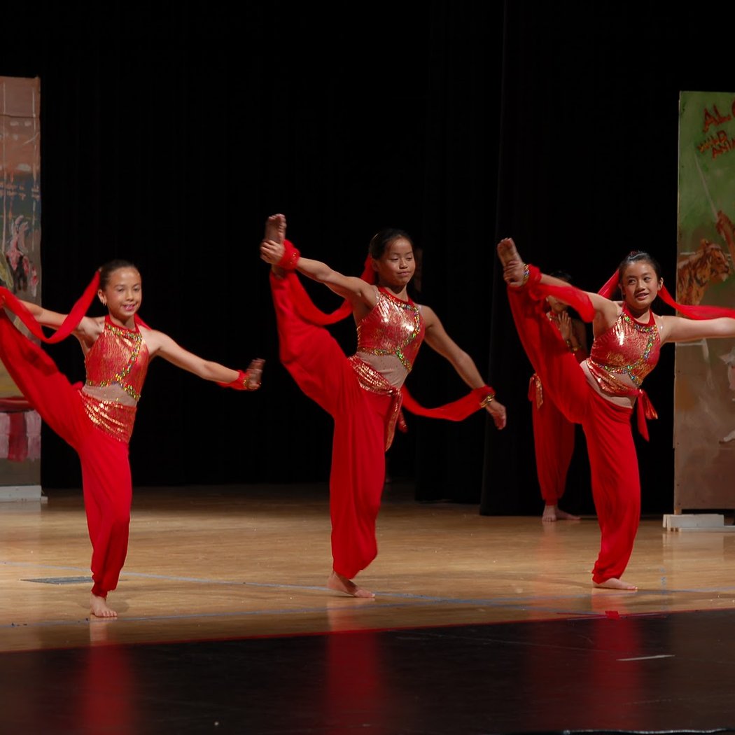 The Dance Shop Vallejo 3