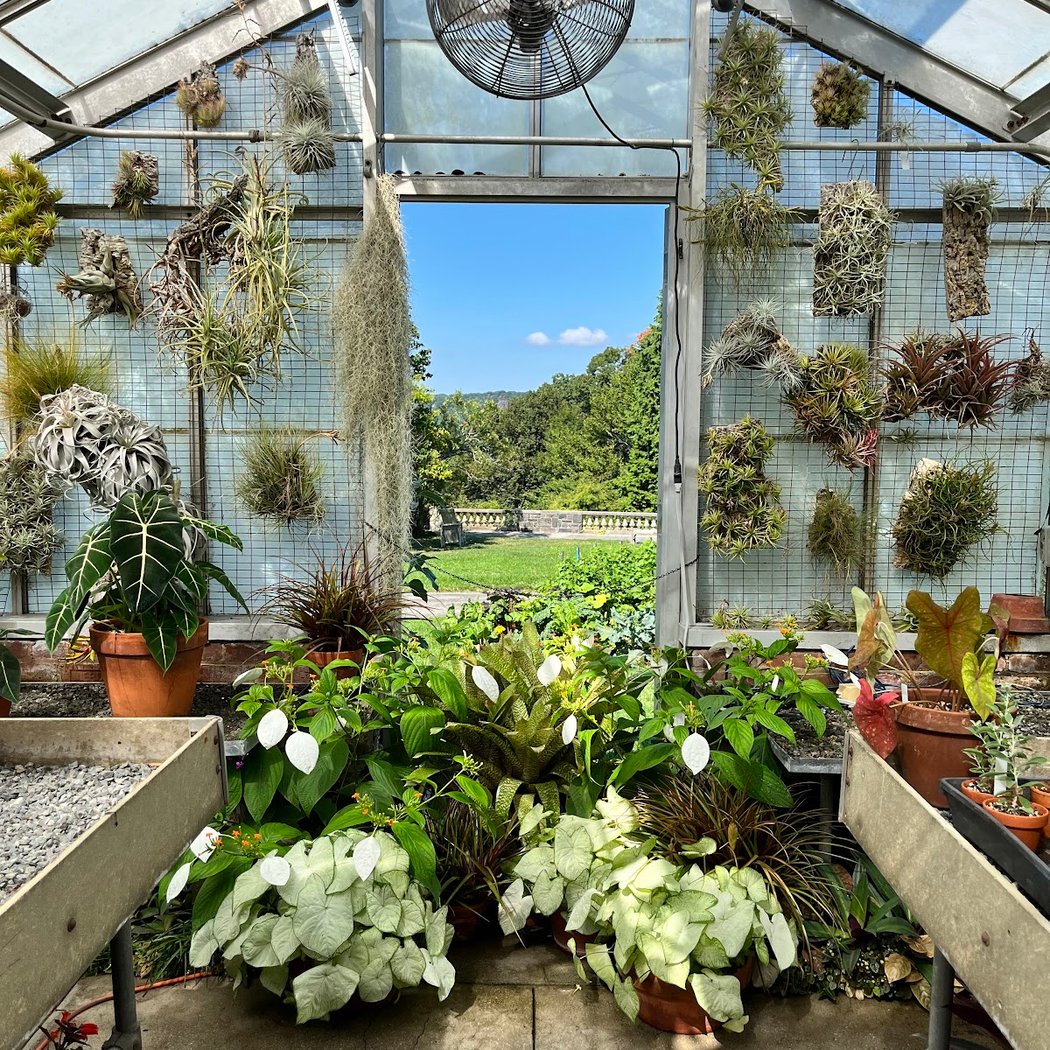 Conservatory Family Exploration Day 1