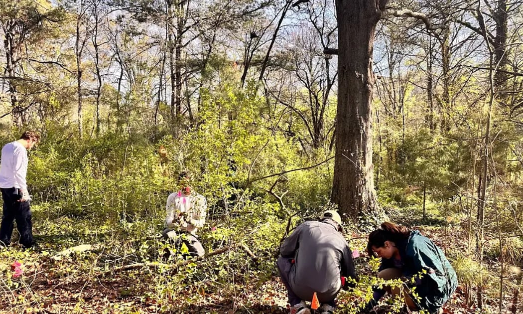 Forest Restoration at Legacy Park 2