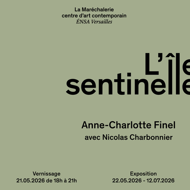 L'île sentinelle — Anne-Charlotte Finel 1