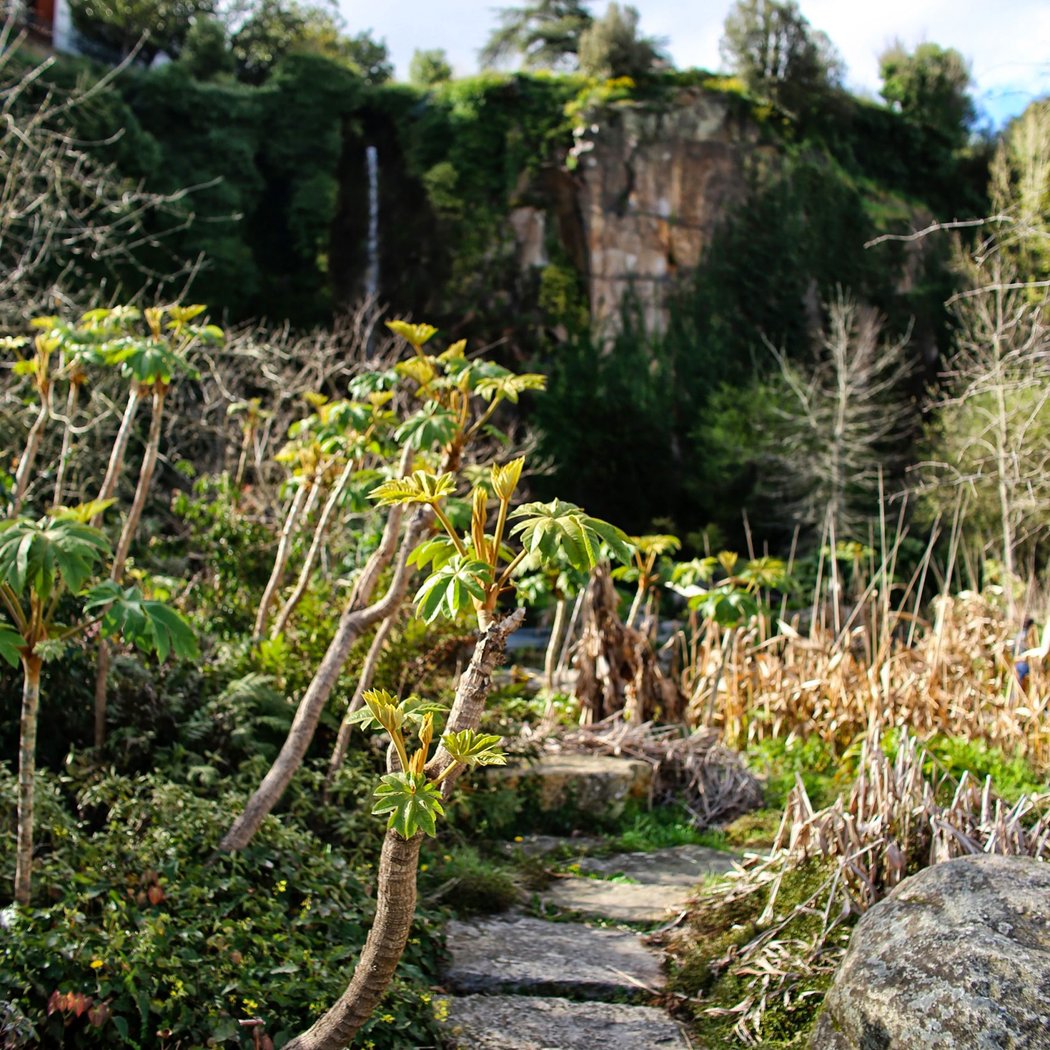 Parc du Grand Blottereau 2