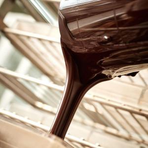 Atelier fabrication de tablettes de chocolat vegan 1