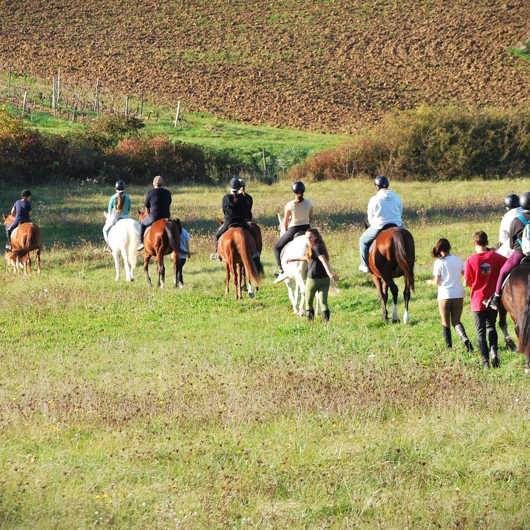 Un Poney Une Histoire 5