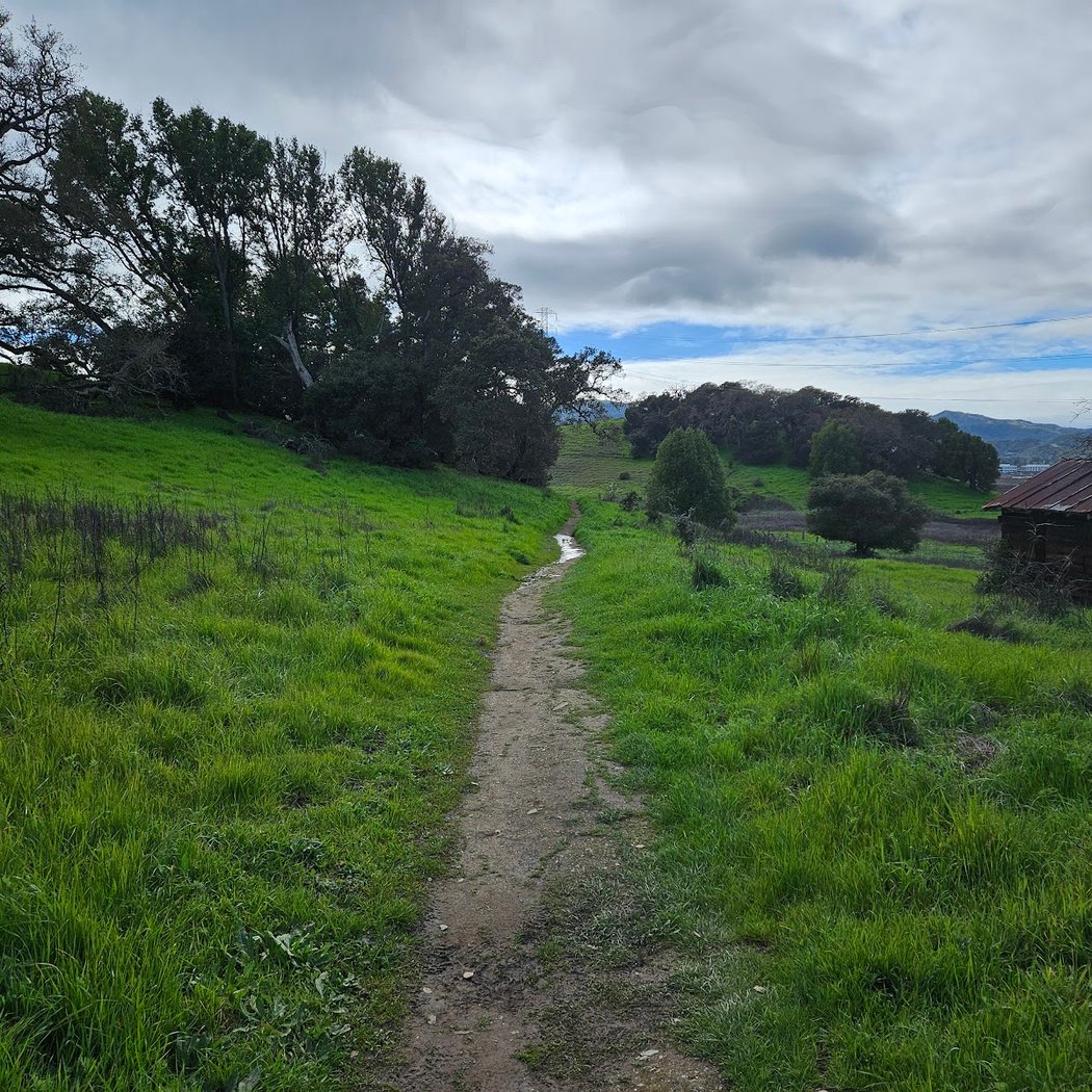 Deer Island Preserve 3