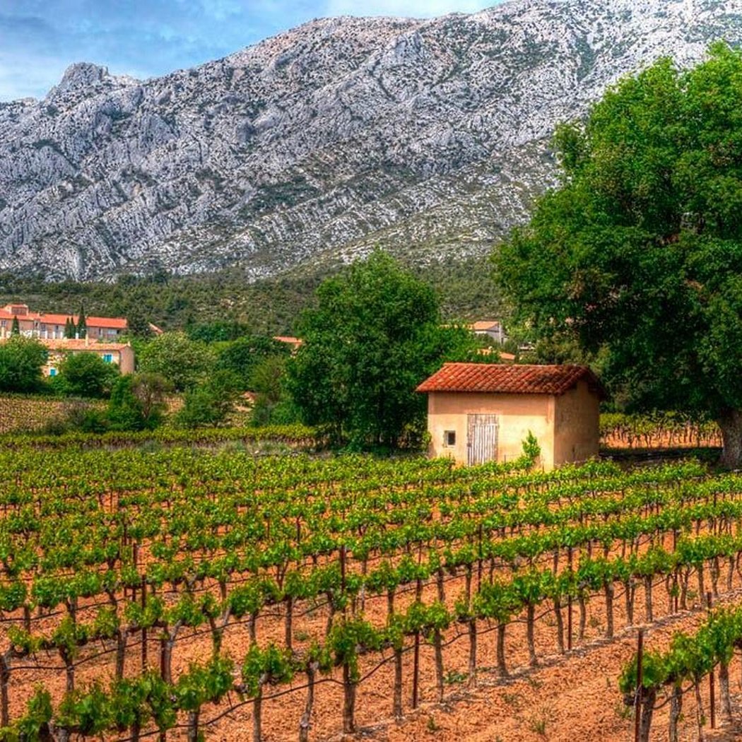 Provence Amazing Tours 3