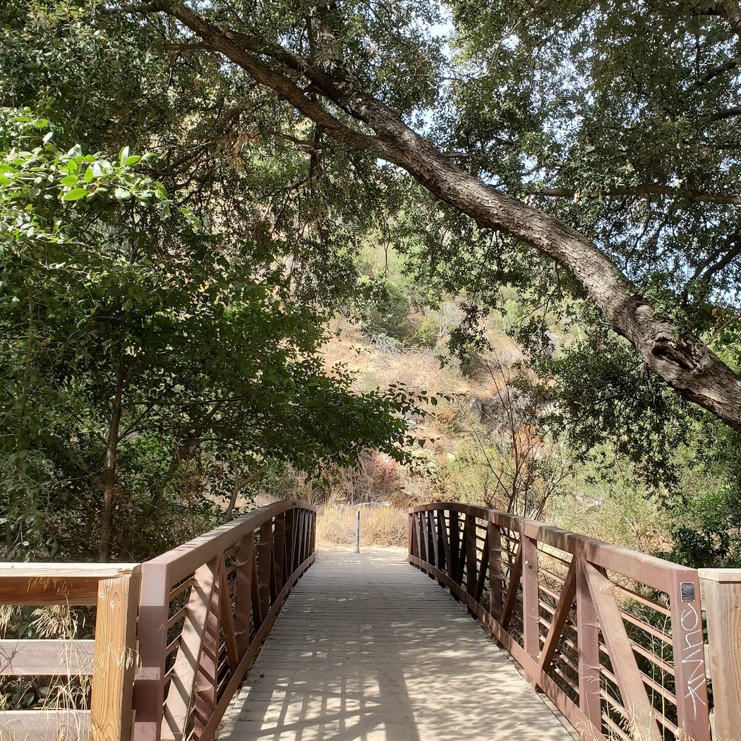 Gould Mesa Trail Camp 3