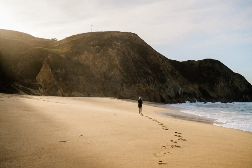 Gray Whale Cove 1