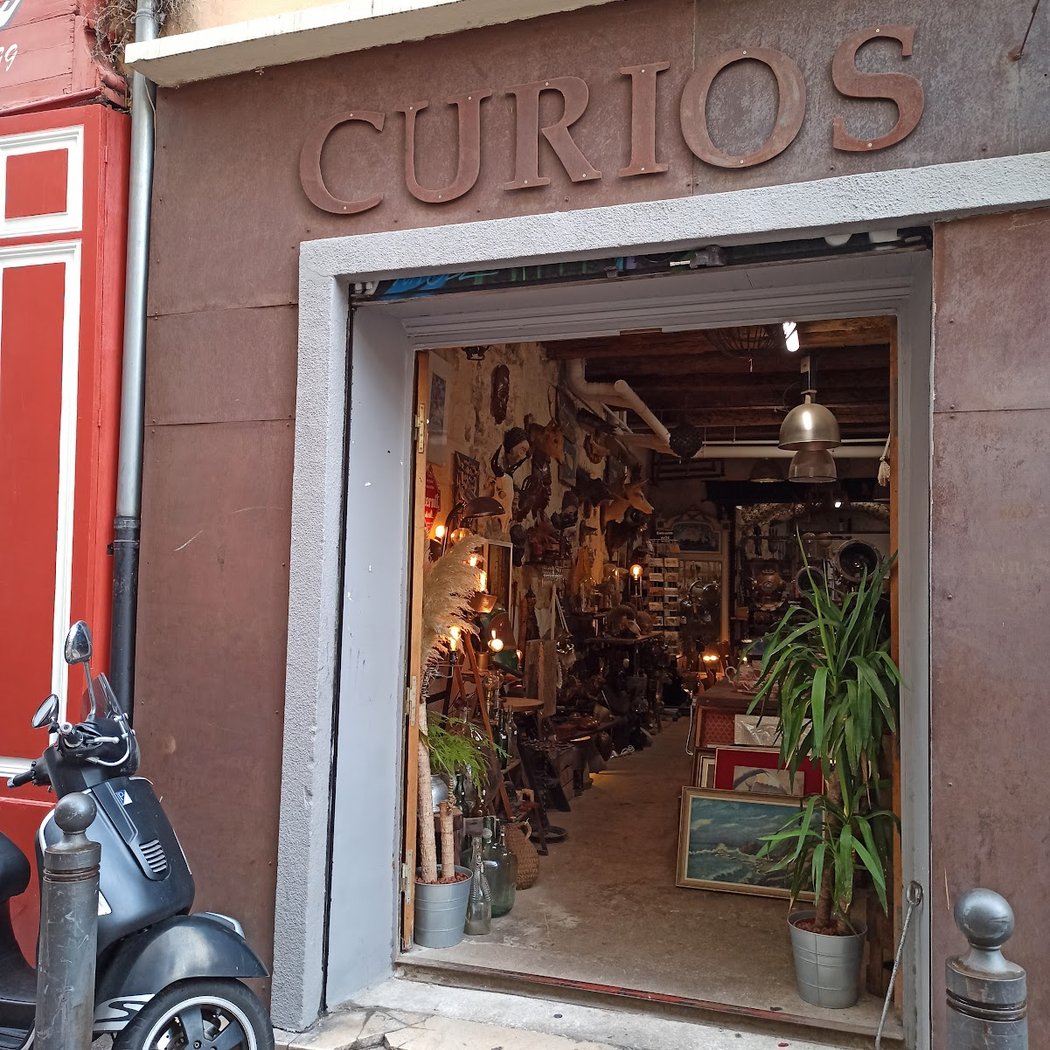 Curios, Cabinet De Curiosités Et Brocante 2