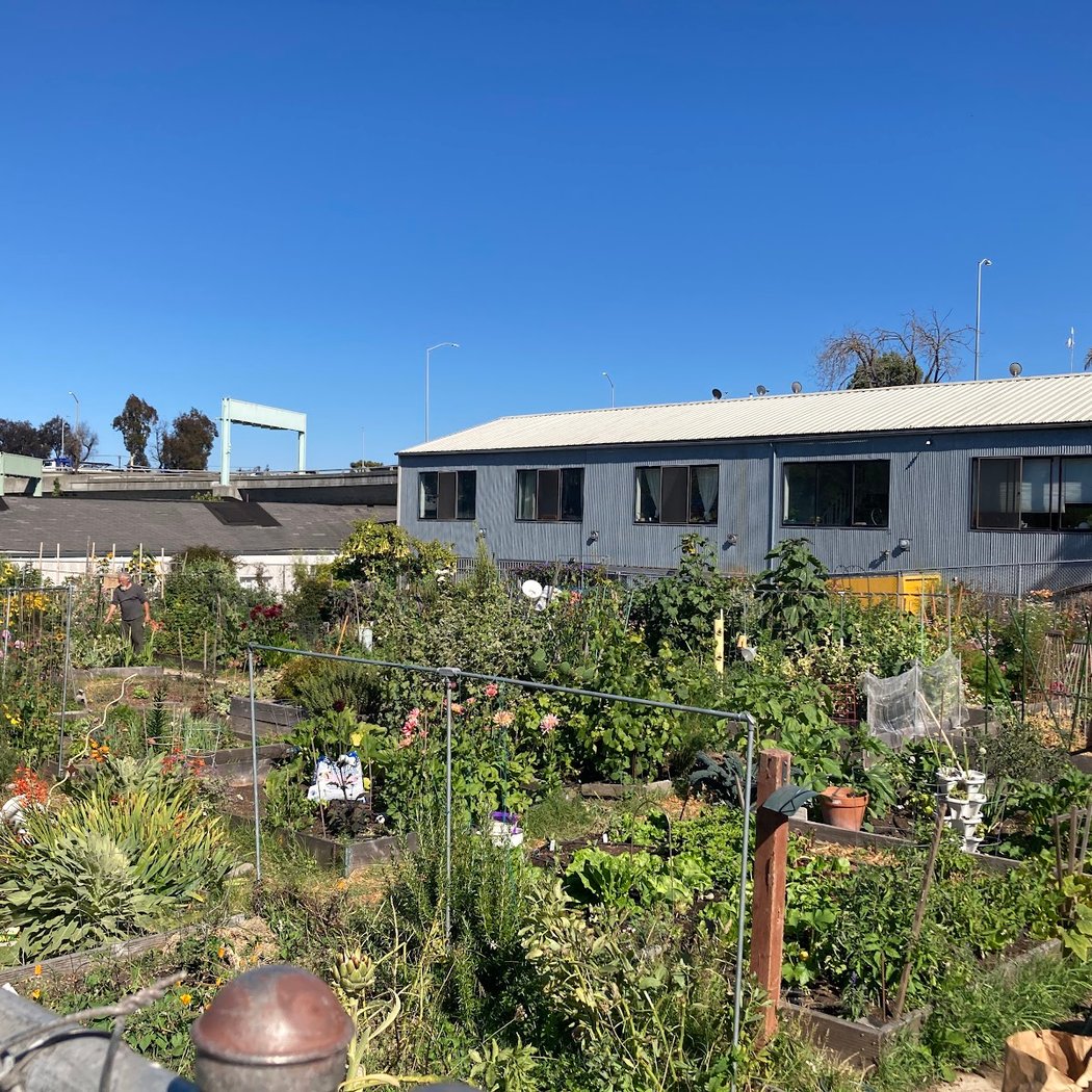 Potrero del Sol Community Garden 1