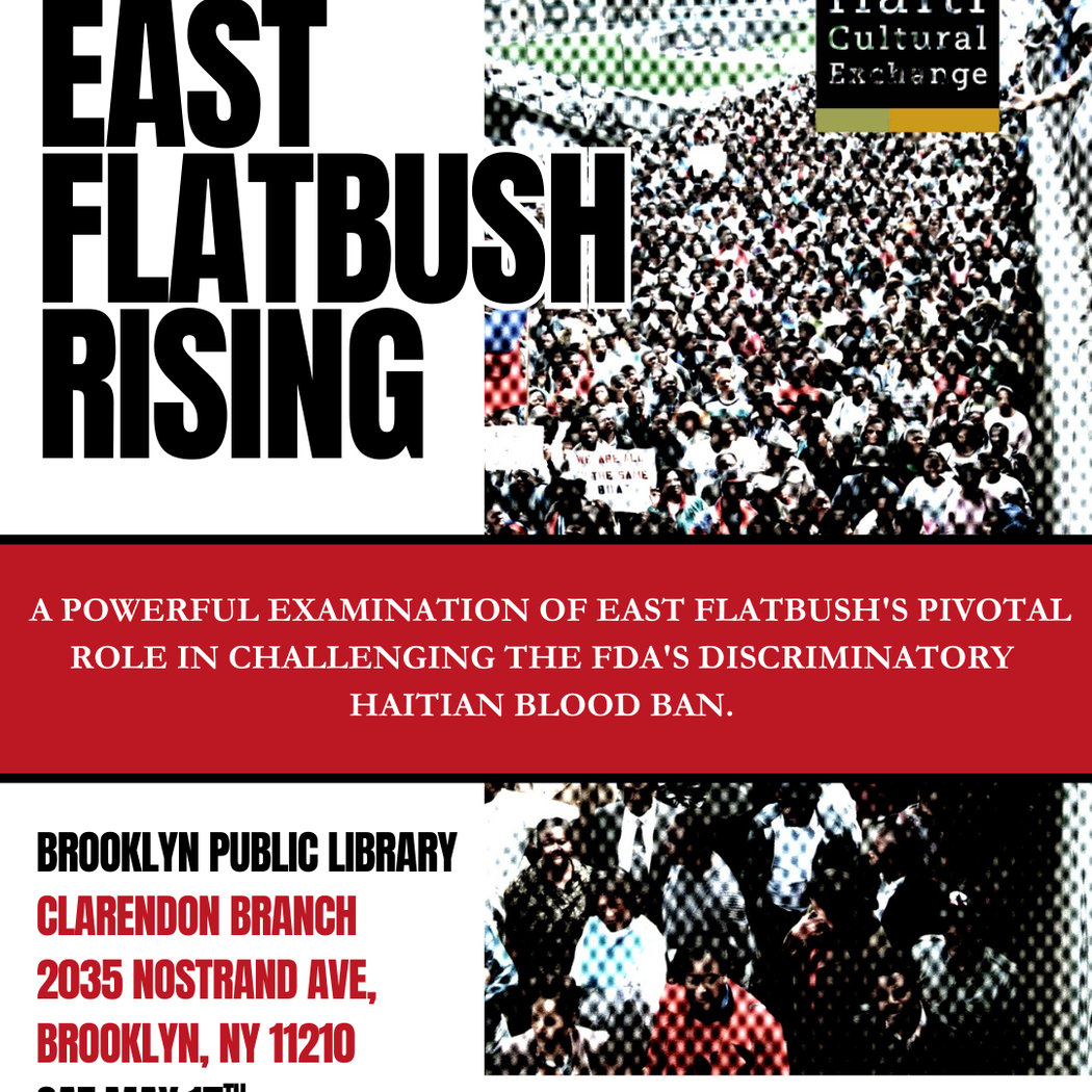 Brooklyn Public Library - Clarendon Branch 1