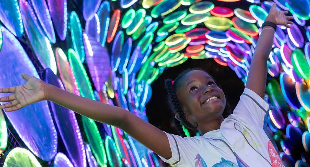 Boston Lights 2026: A Lantern Experience