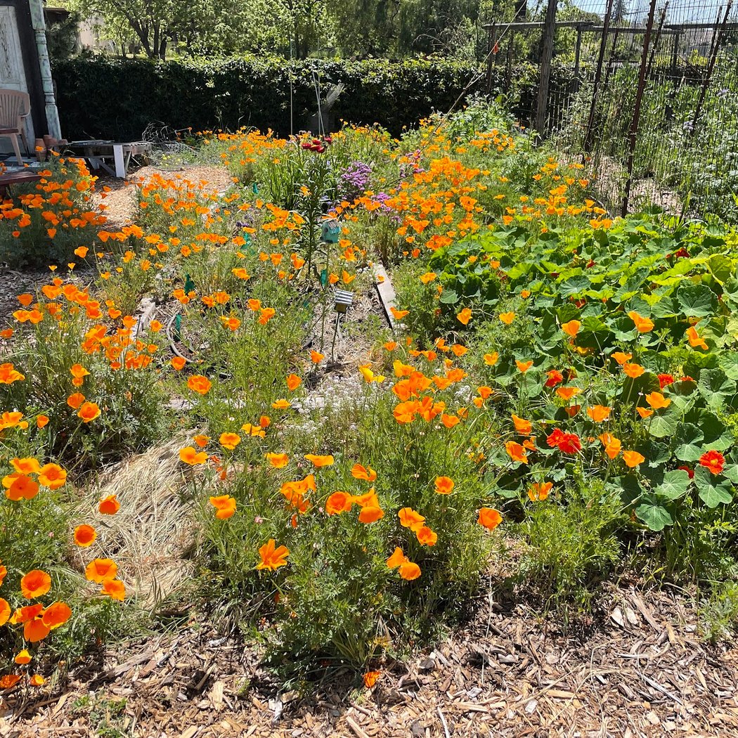 Events at Urban Gardens 5