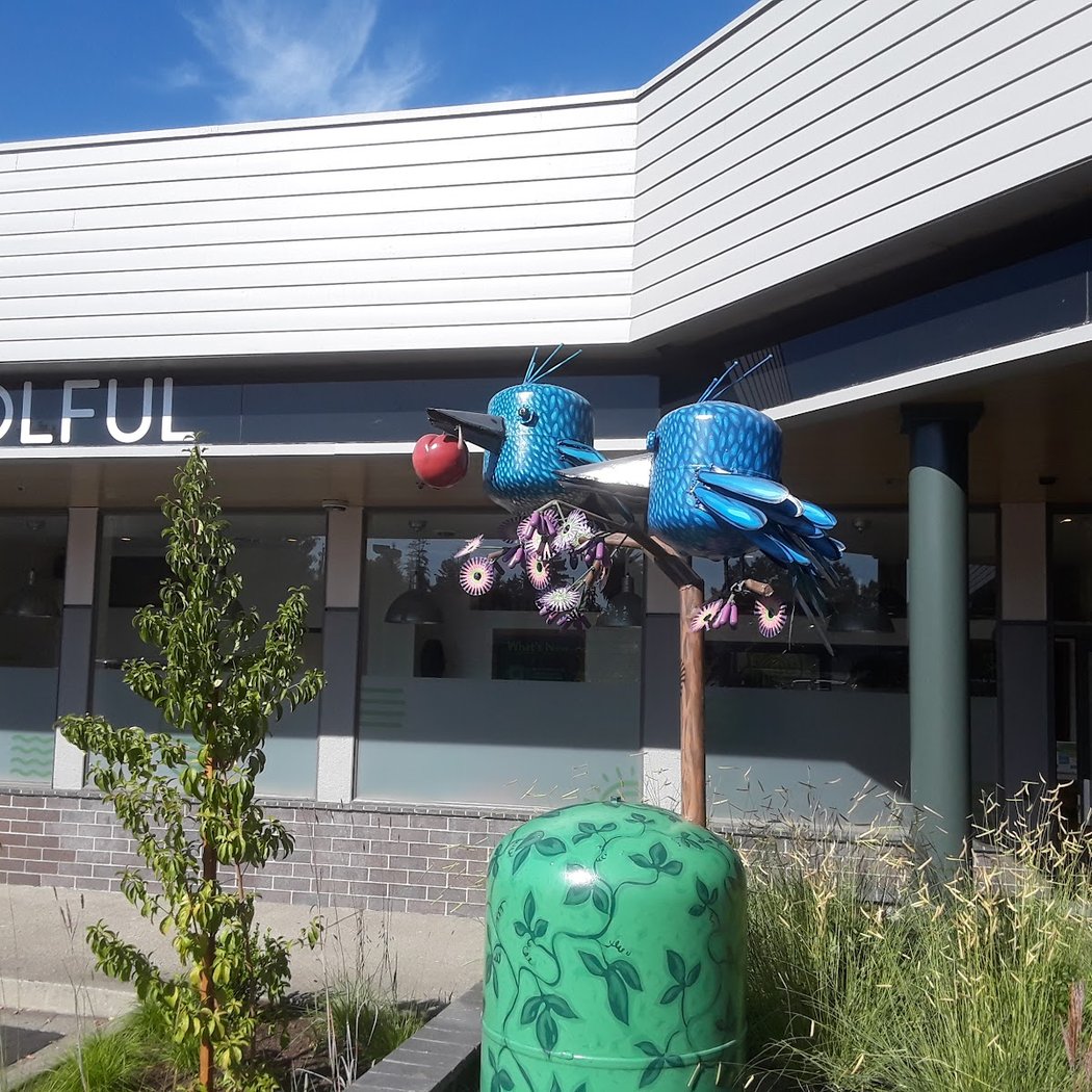 Solful Cannabis Dispensary - Sebastopol 2