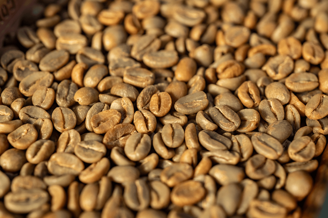 Sensory Training: Recognizing Freshness, Staleness, and Age in Roasted and Green Coffee 1