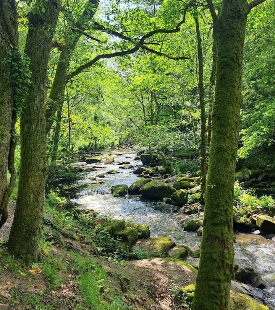 Le Sentier des Peintres (CZ1) 2