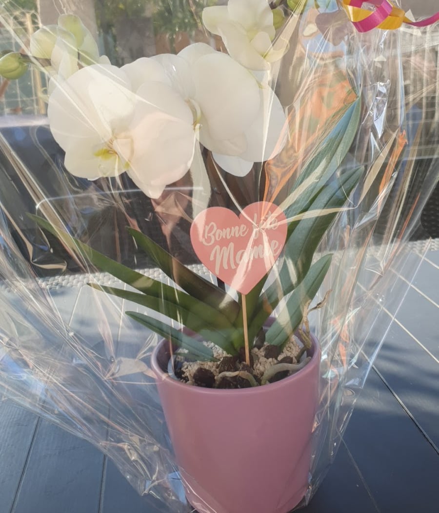 Nicolas Fleurs 2