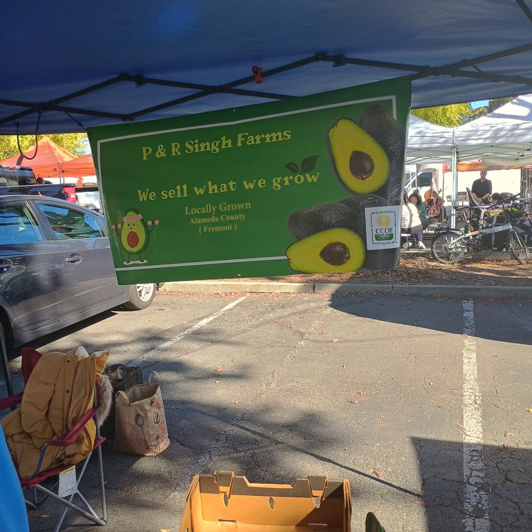 Kid's Day at the Market 2