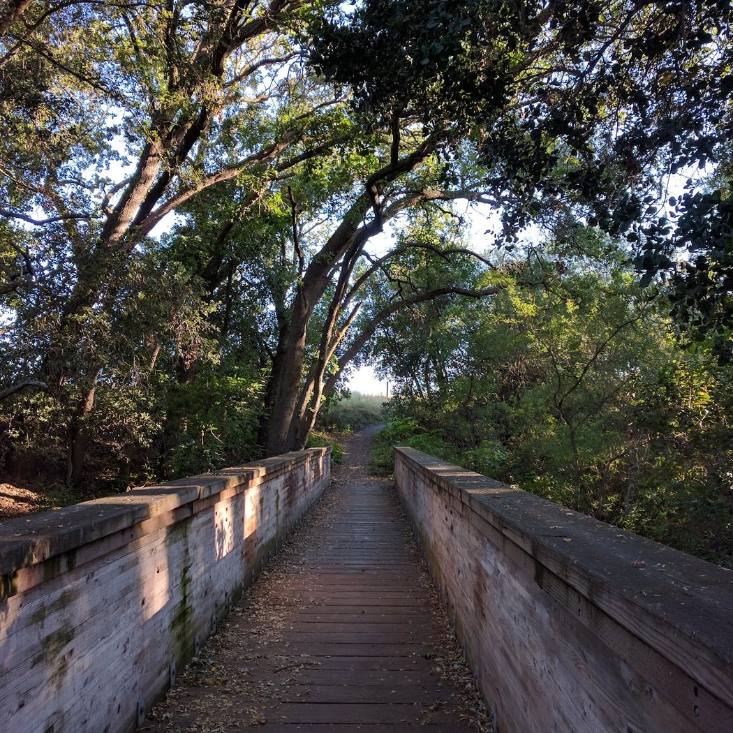 Tassajara Creek Regional Park 2