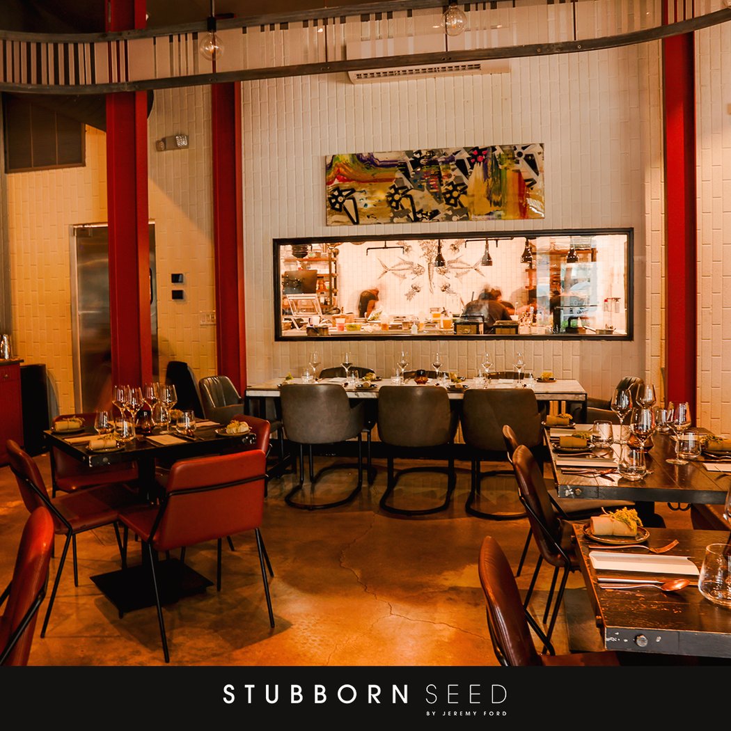 Stubborn Seed - Miami Beach 2