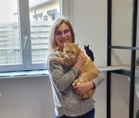 Pet's Service 44 - Pension Féline 1