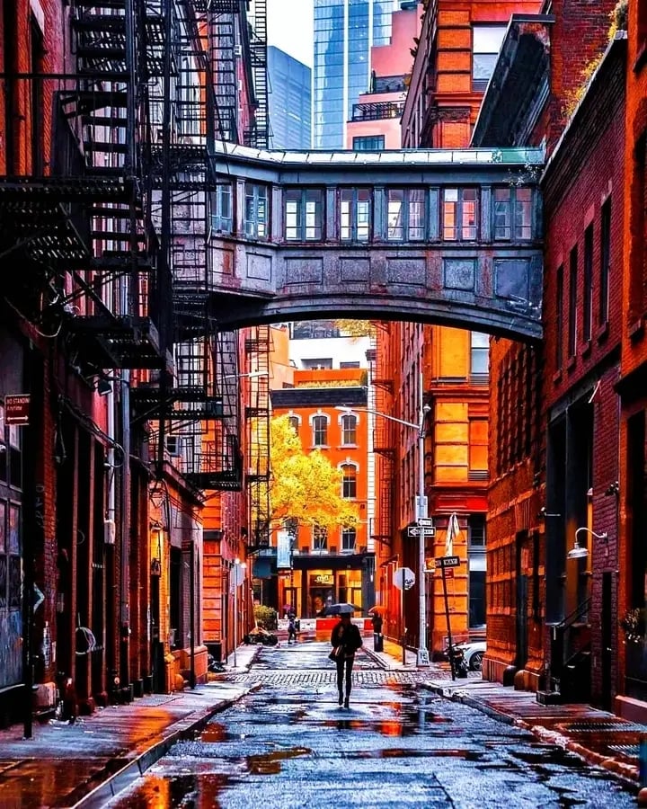 Staple Street Skybridge 1