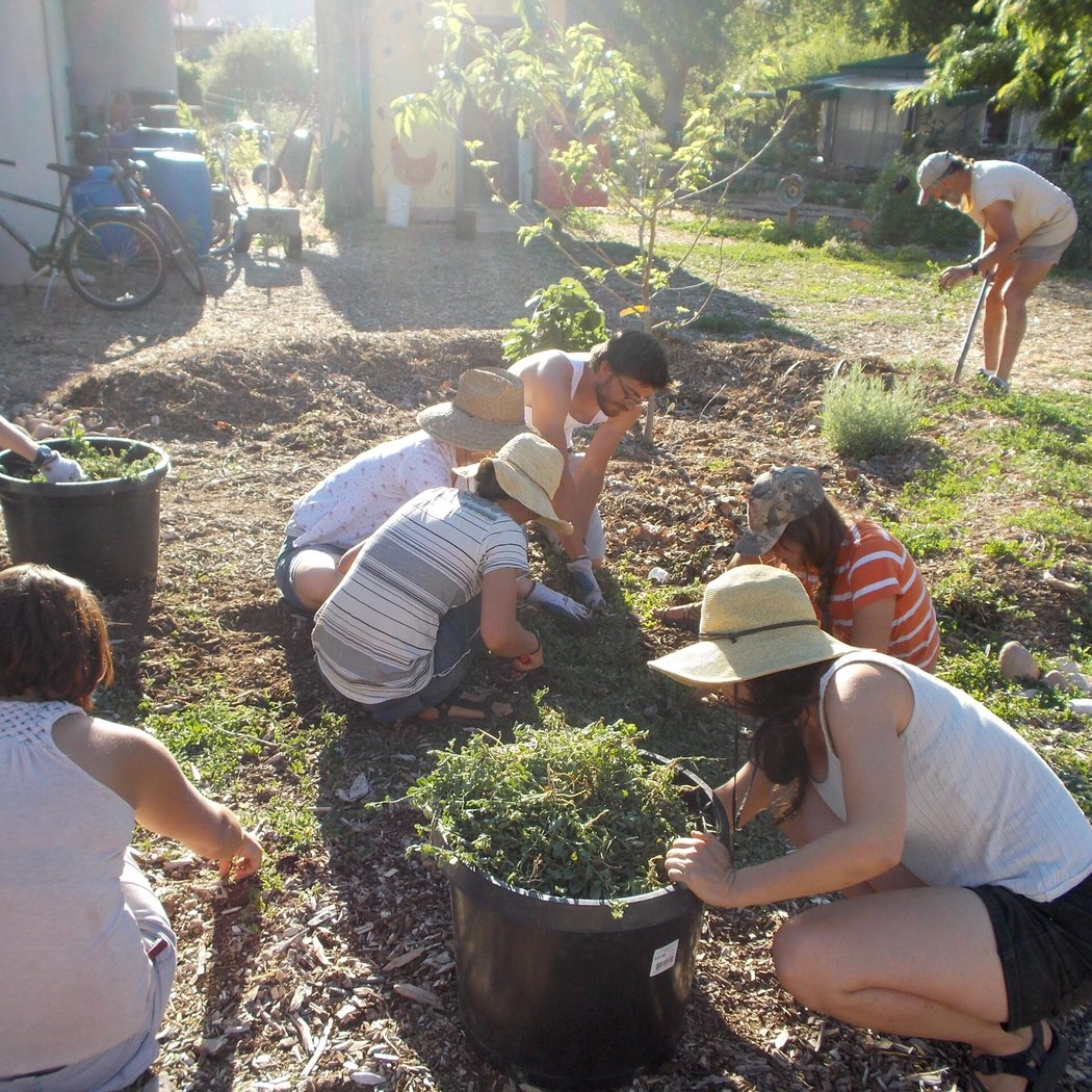 Planting Positivity Saturdays 2